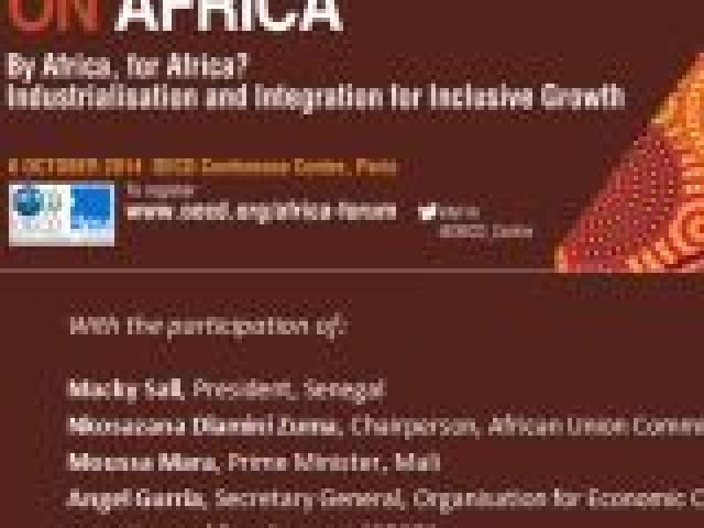 Foro África 2014 ¿Por África, para África?