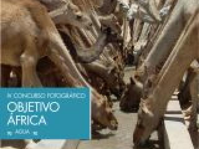 IV Concurso Fotográfico 'Objetivo África'