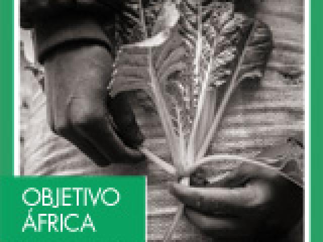 V Concurso Fotográfico 'Objetivo África': Economía sostenible