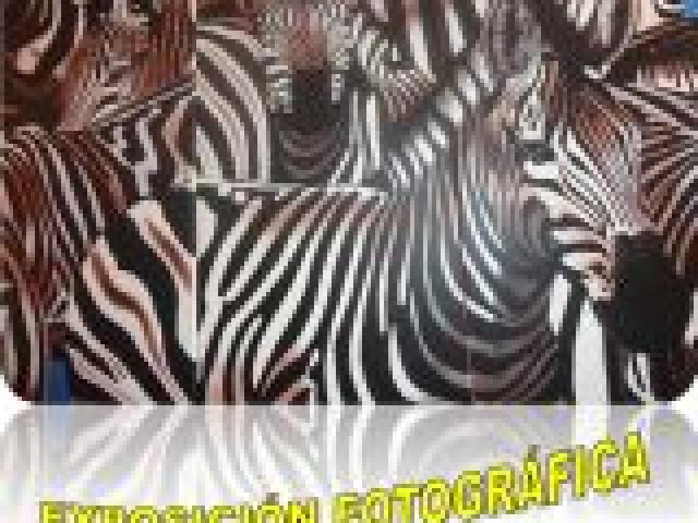 Exposición fotográfica: África
