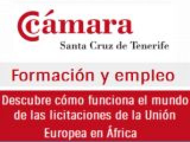 Descubre cómo funciona el mundo de las licitaciones de la Unión Europea en África