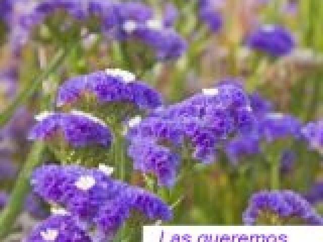 Exposición: Mujeres que rompieron el silencio