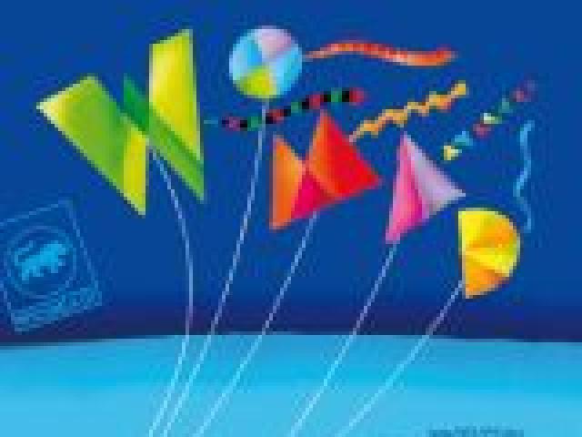 Womad 2008
