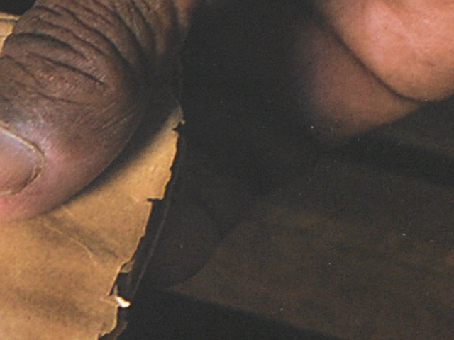 Presentación del libro «Documentos relativos a Canarias en los archivos africanos»