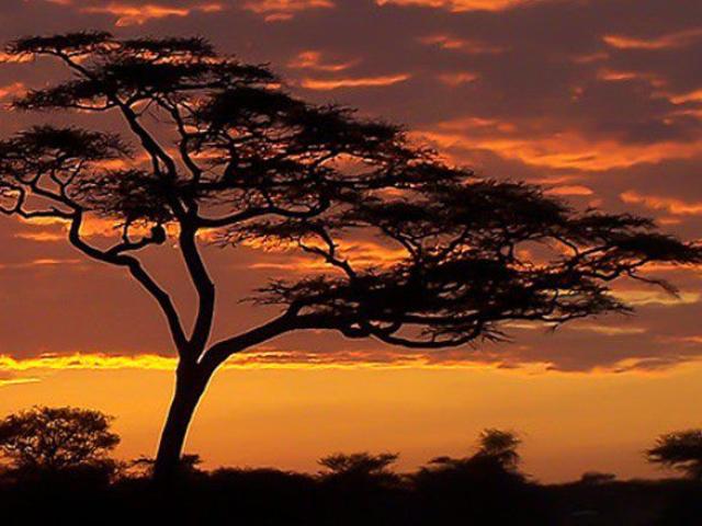 Cuentos africanos con Ana Griott