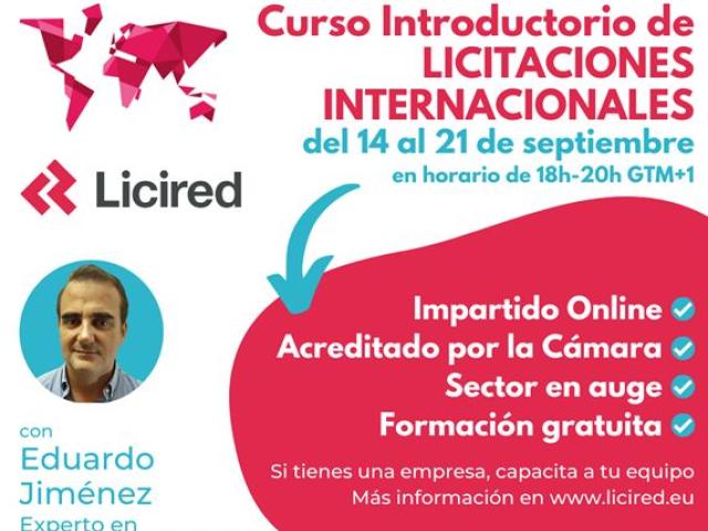 Curso Introductorio de Licitaciones Internacionales