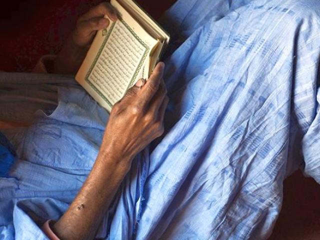 EL CORAZÓN Y EL CÁLAMO. La ciudad, los manuscritos y las familias