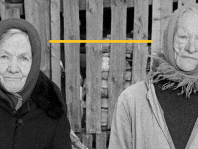 MiradasDoc 2024 | 17º Festival y Mercado Internacional de Cine Documental
