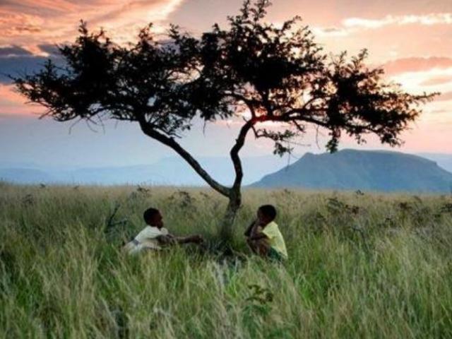 Burgos acoge un ciclo de cine africano con estrenos todos los jueves del mes de enero