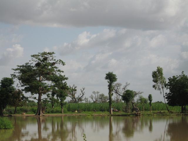 Un estudio sobre la influencia del petróleo en el desarrollo democrático de Nigeria gana el Premio de Ensayo Casa África 2009