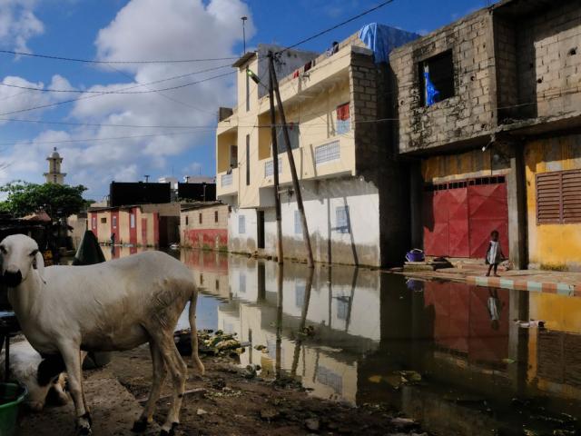 Elise Fitte Duval, premio Casa África 2011 de la Bienal de Fotografía de Bamako
