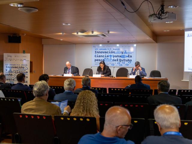 Jornada de ANACEF en Casa África