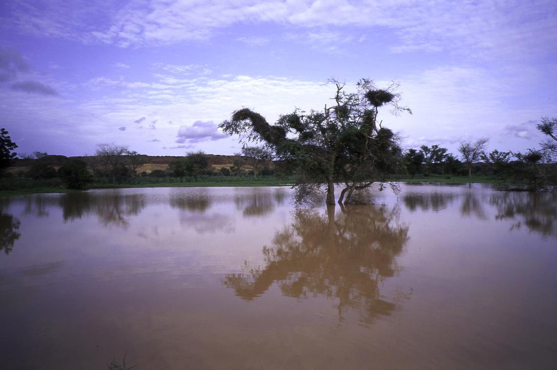 Proyecto Soutoura: Paisajes